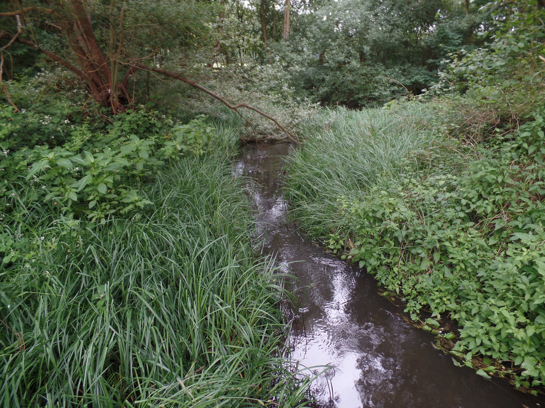 Elvaston Local Nature Reserve
