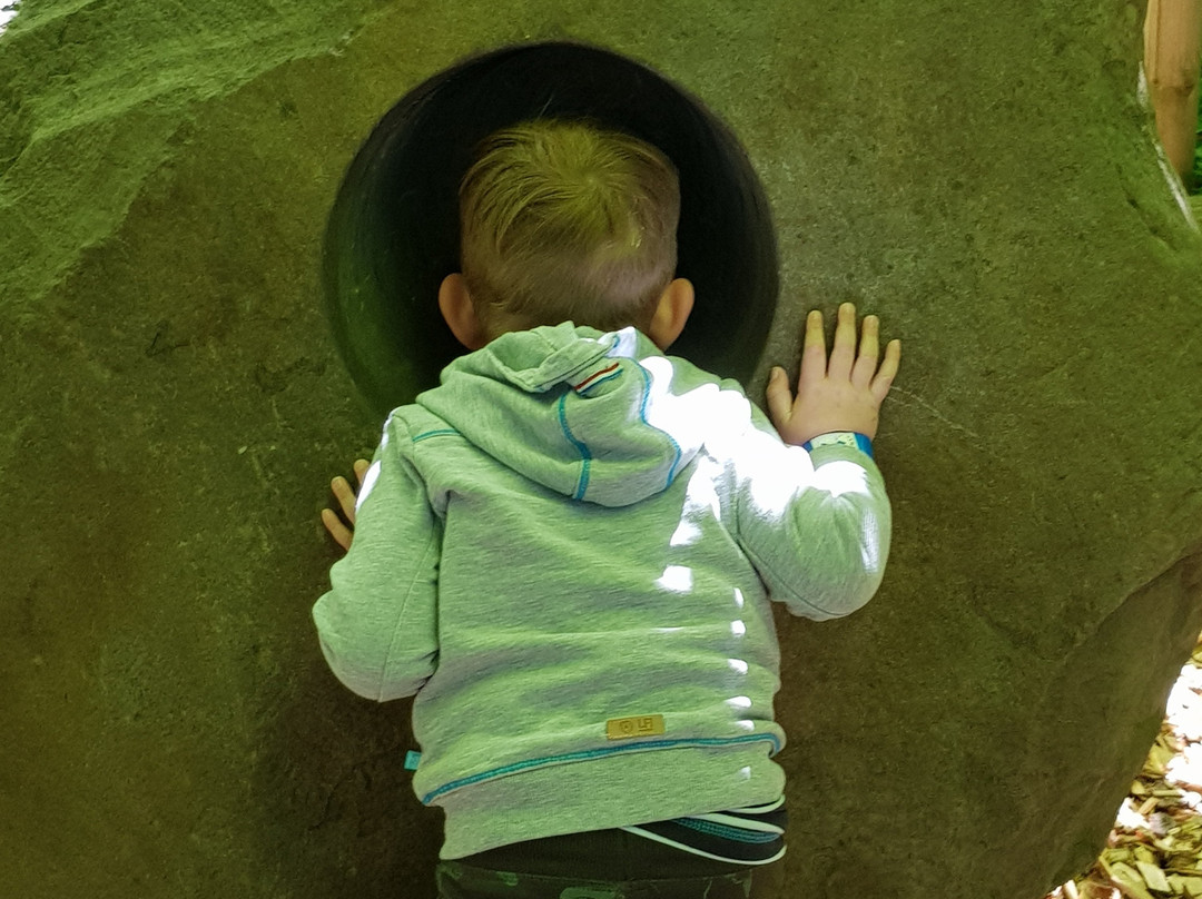 Schongauer Marchenwald und Tierpark-Schongau必去景点