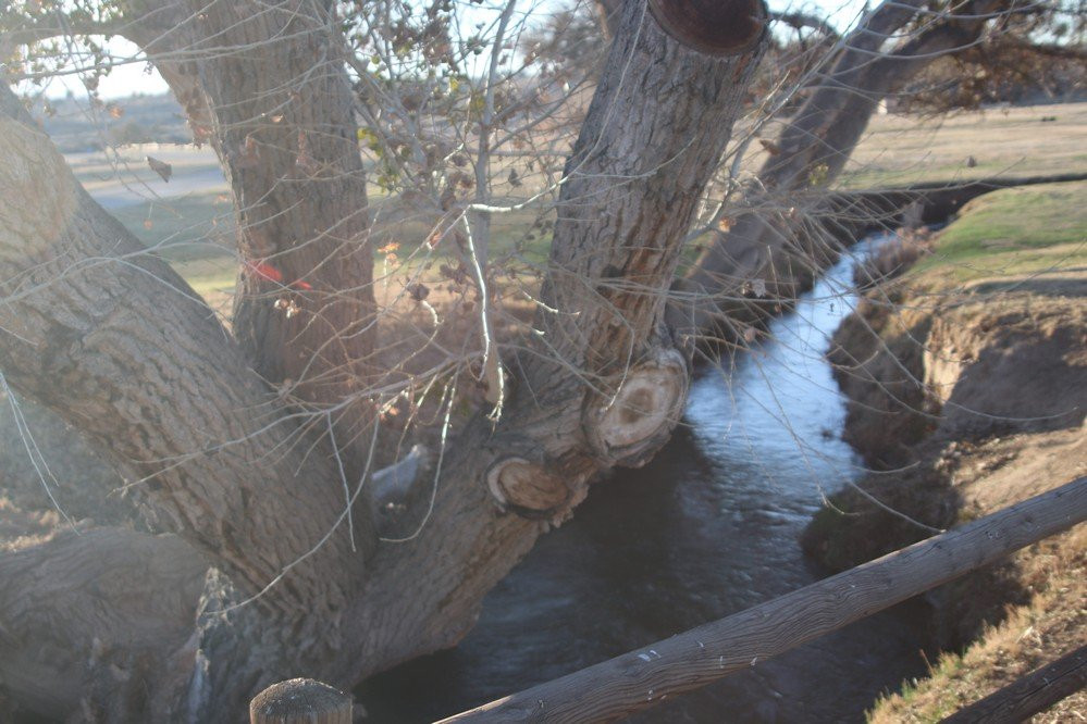 Mojave Narrows Regional Park Camping景点图片