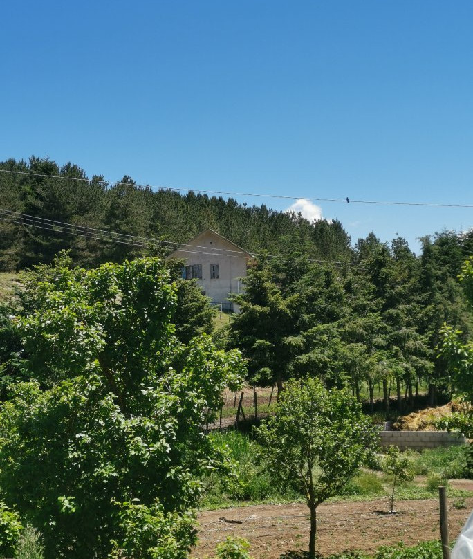 Azienda agricola Serravalle-Celico必去景点