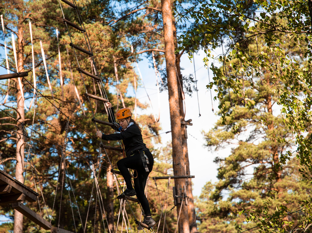 Flowpark Turku-土尔库必去景点