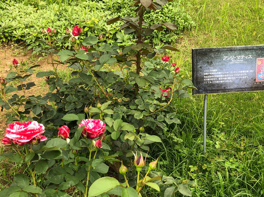 Botanica Museum-千叶市必去景点