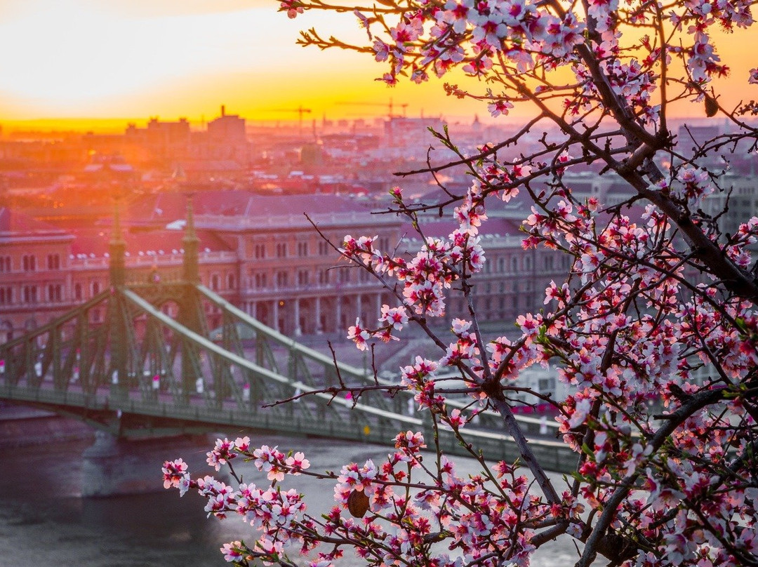 Europe Journey - Private Sightseeing Transfers and Day Tours-布达佩斯必去景点