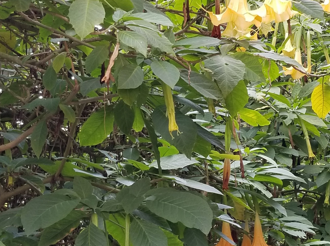 拉威拉蔓特林酒店主图