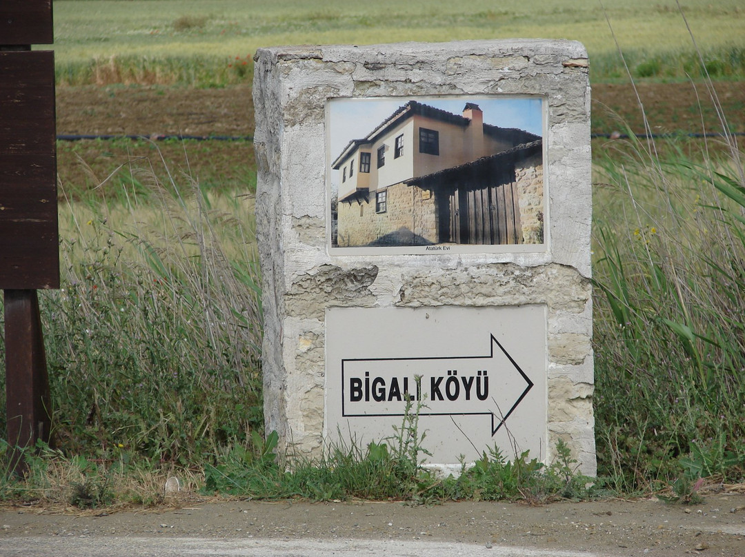 Bigali Castle景点图片