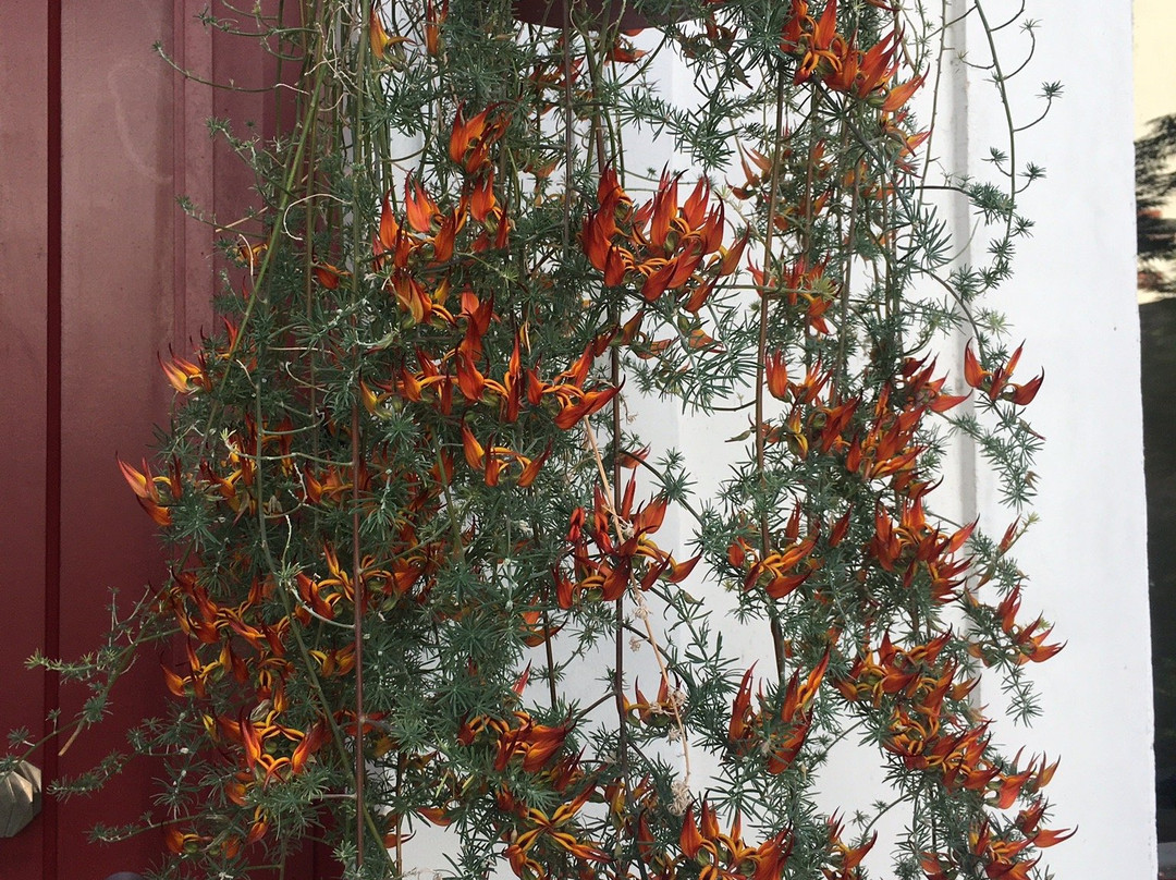 Le Jardin des Toiles主图
