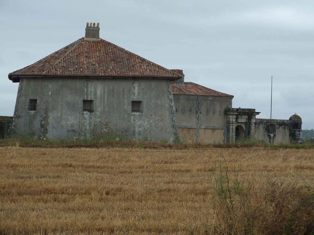 Fort Lupin-Saint Nazaire sur Charente必去景点