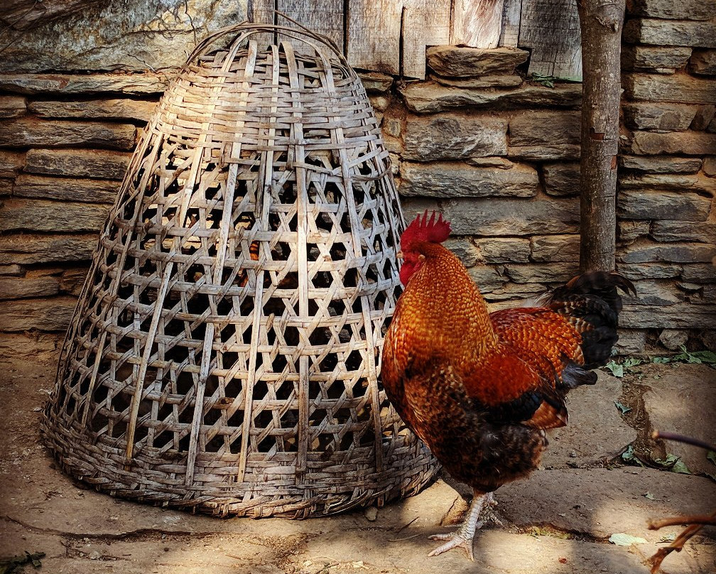 Center Park Resort主图