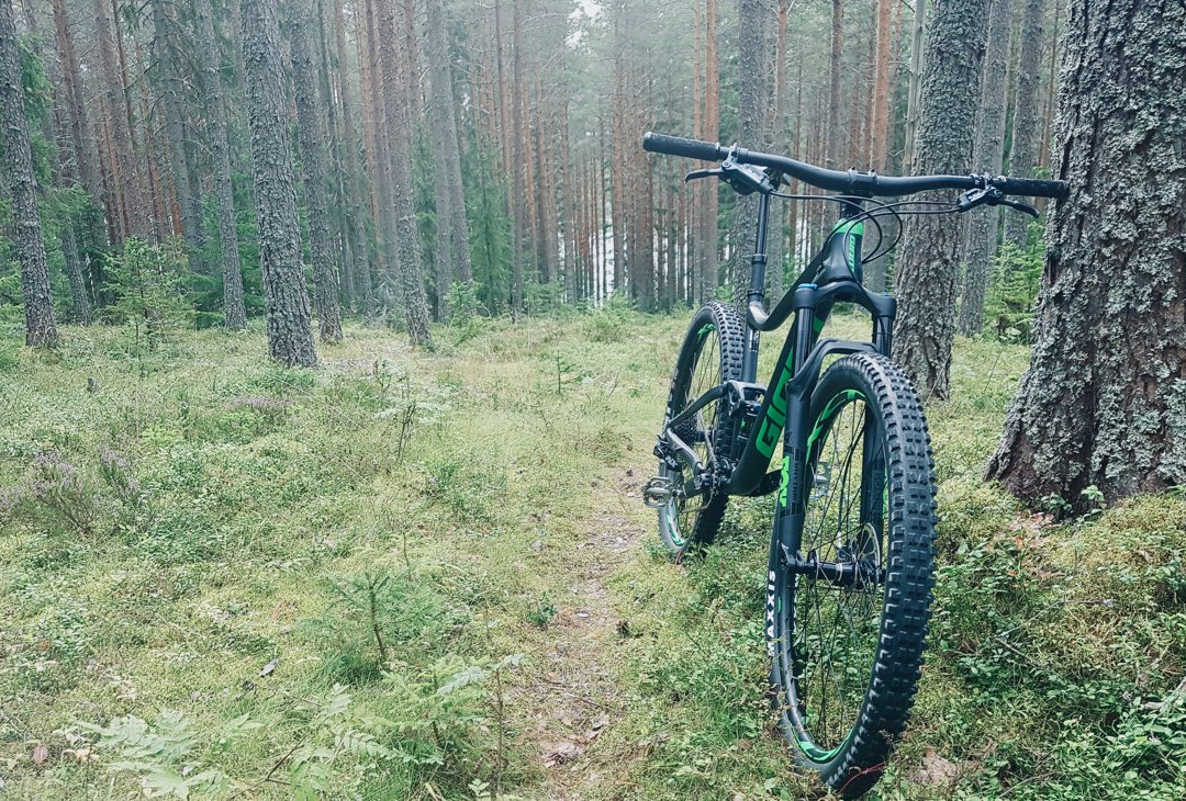 Hemsö Kajak & MTB-Härnösand必去景点