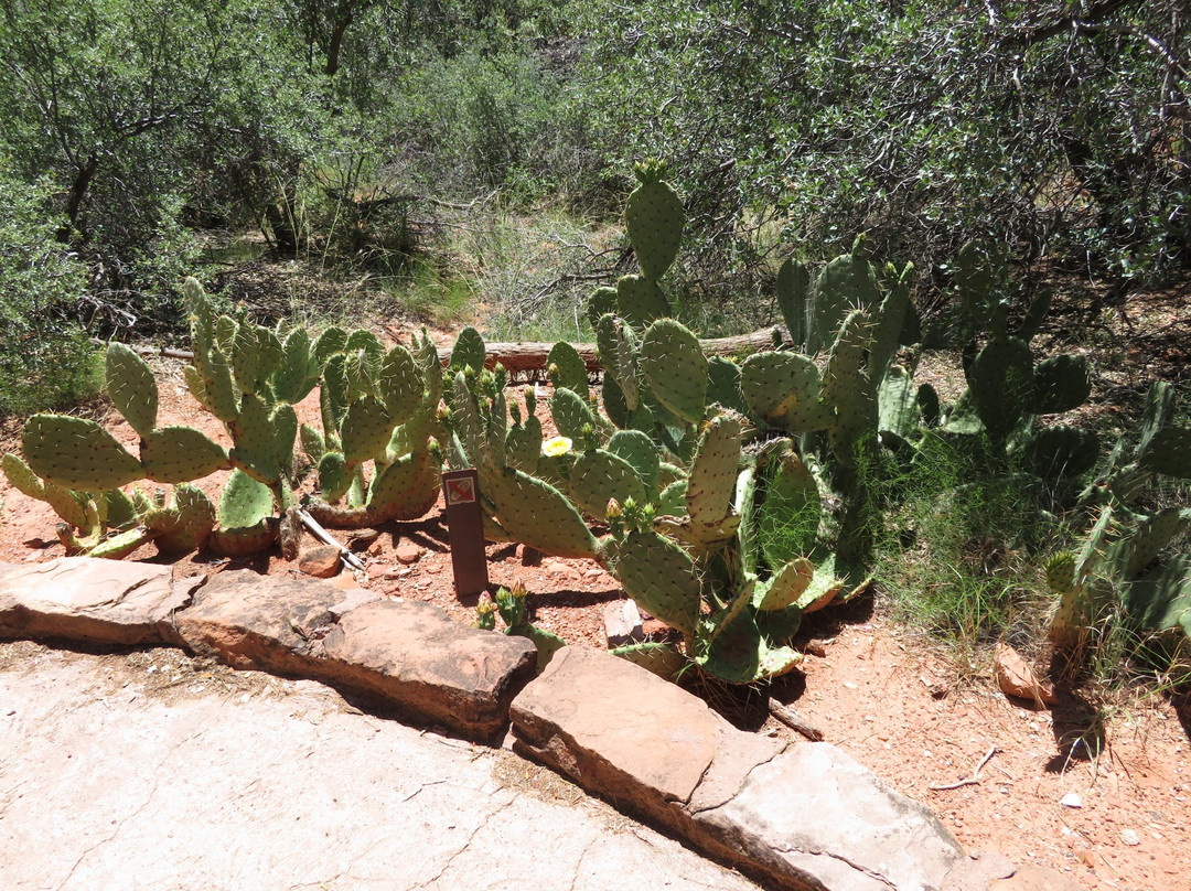 Court of the Patriarchs-锡安国家公园必去景点