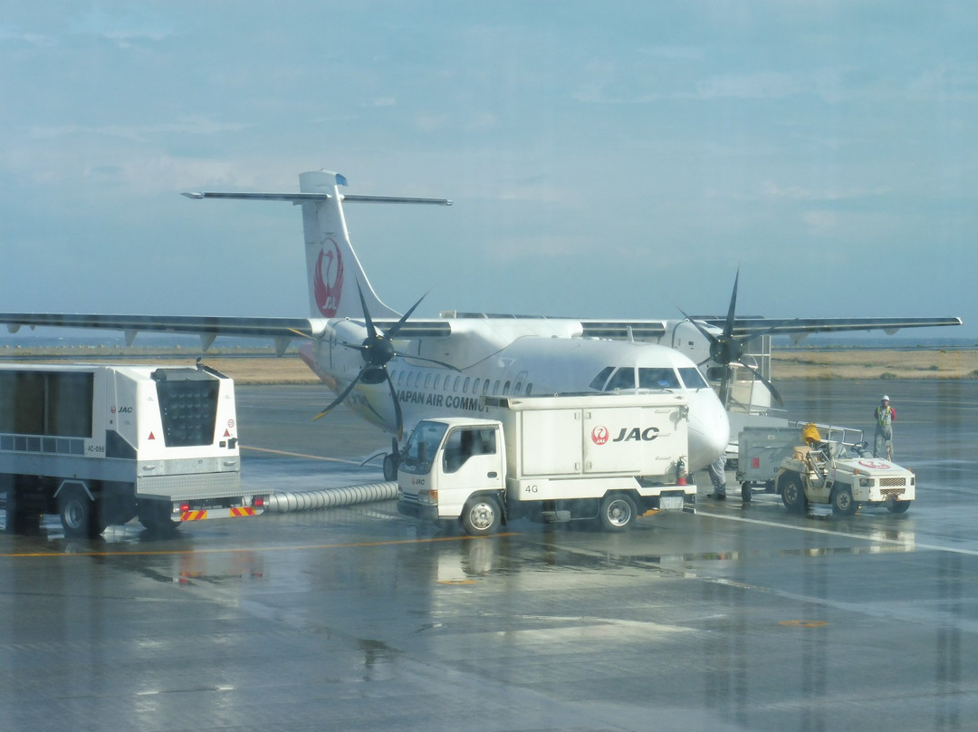 Amami Airport Visitors Deck景点图片