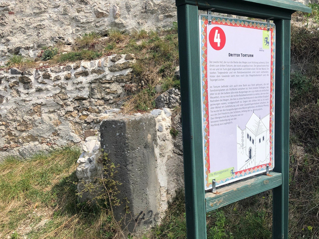 Burgruine Mödling-默德林必去景点