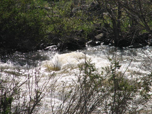 Jordan Park-Neot Golan必去景点