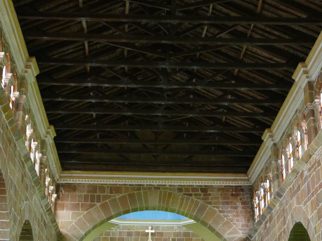 Catedral de la Inmaculada Concepcion景点图片