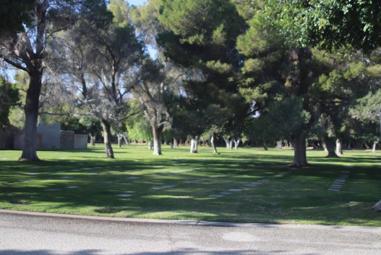 Desert Memorial Park-棕榈泉市必去景点