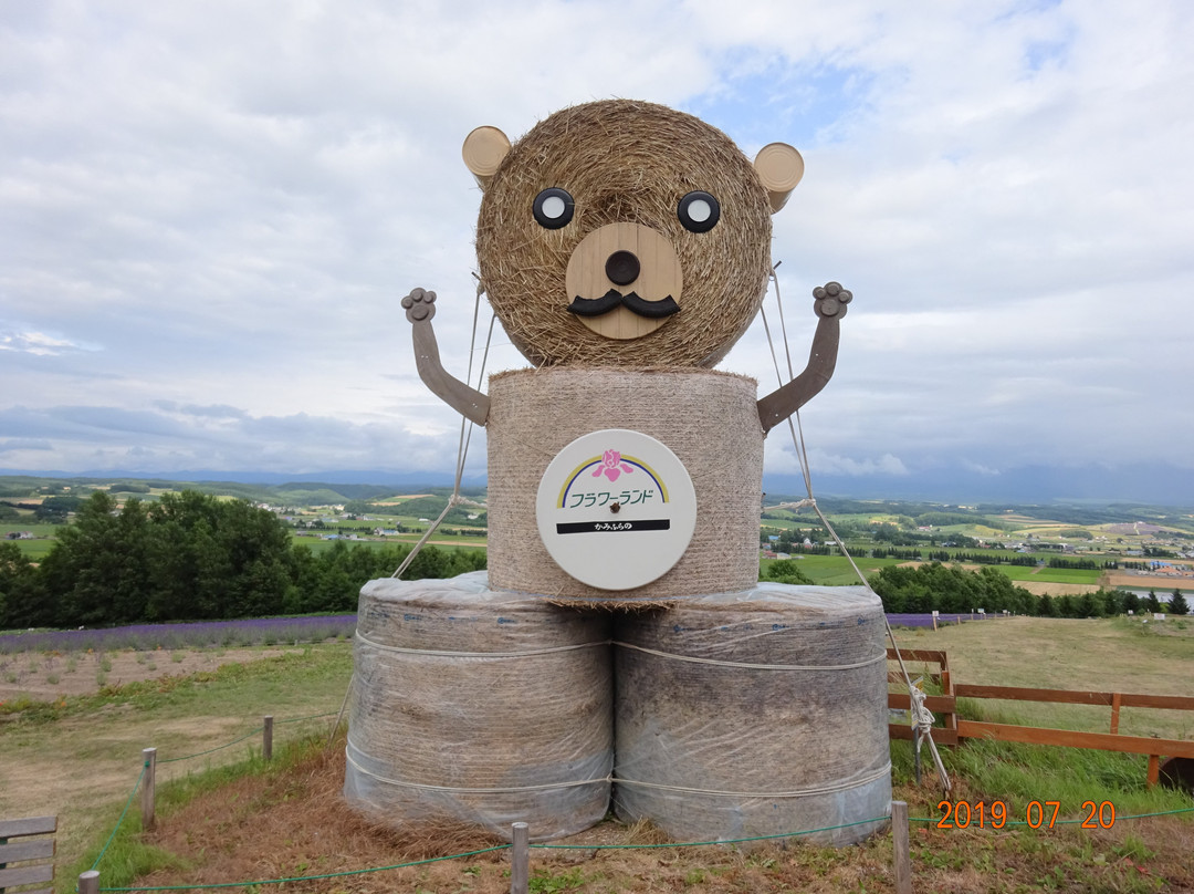 Flower Land Kamifurano-上富良野町必去景点