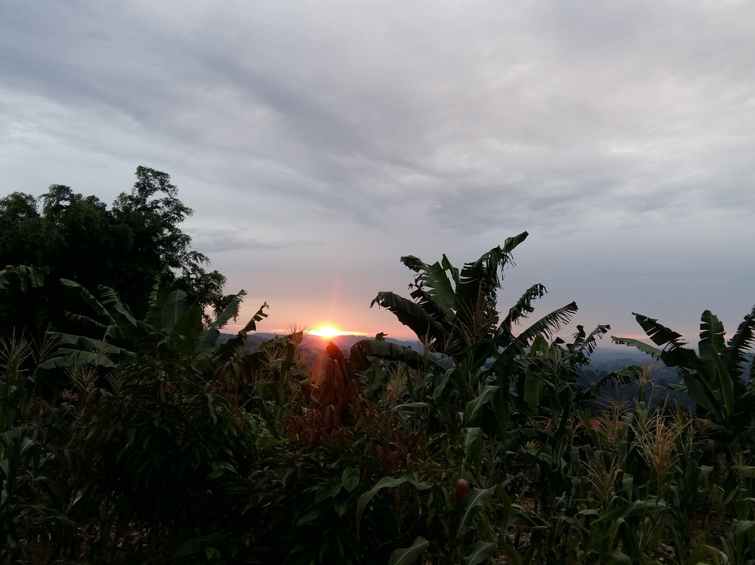 Terra Varietas Guesthouse主图