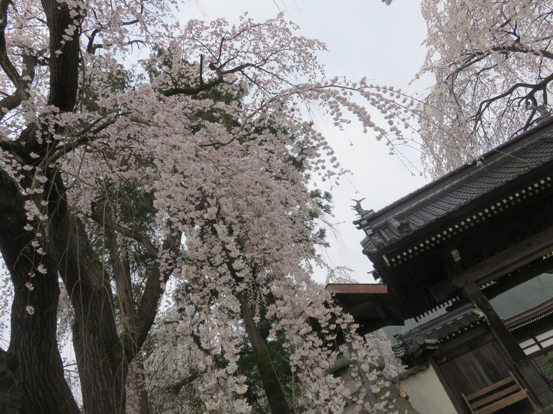 Korin-ji Temple-长野县必去景点