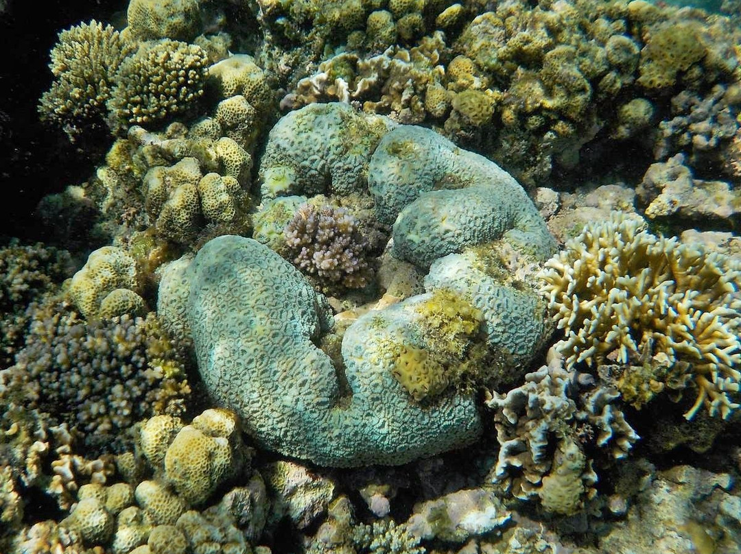 Long Beach-葡多咖蕾拉必去景点