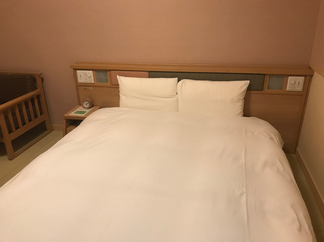 天然温泉境港御宿野乃酒店主图