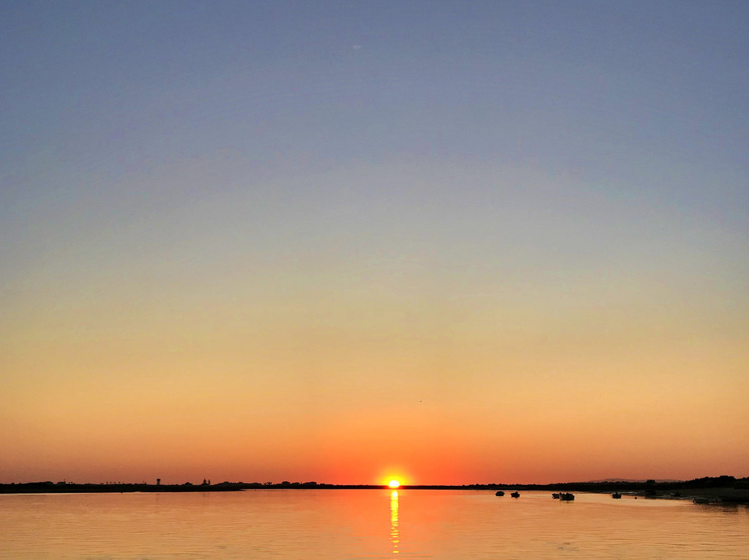 iSea Boat Charter-法罗必去景点