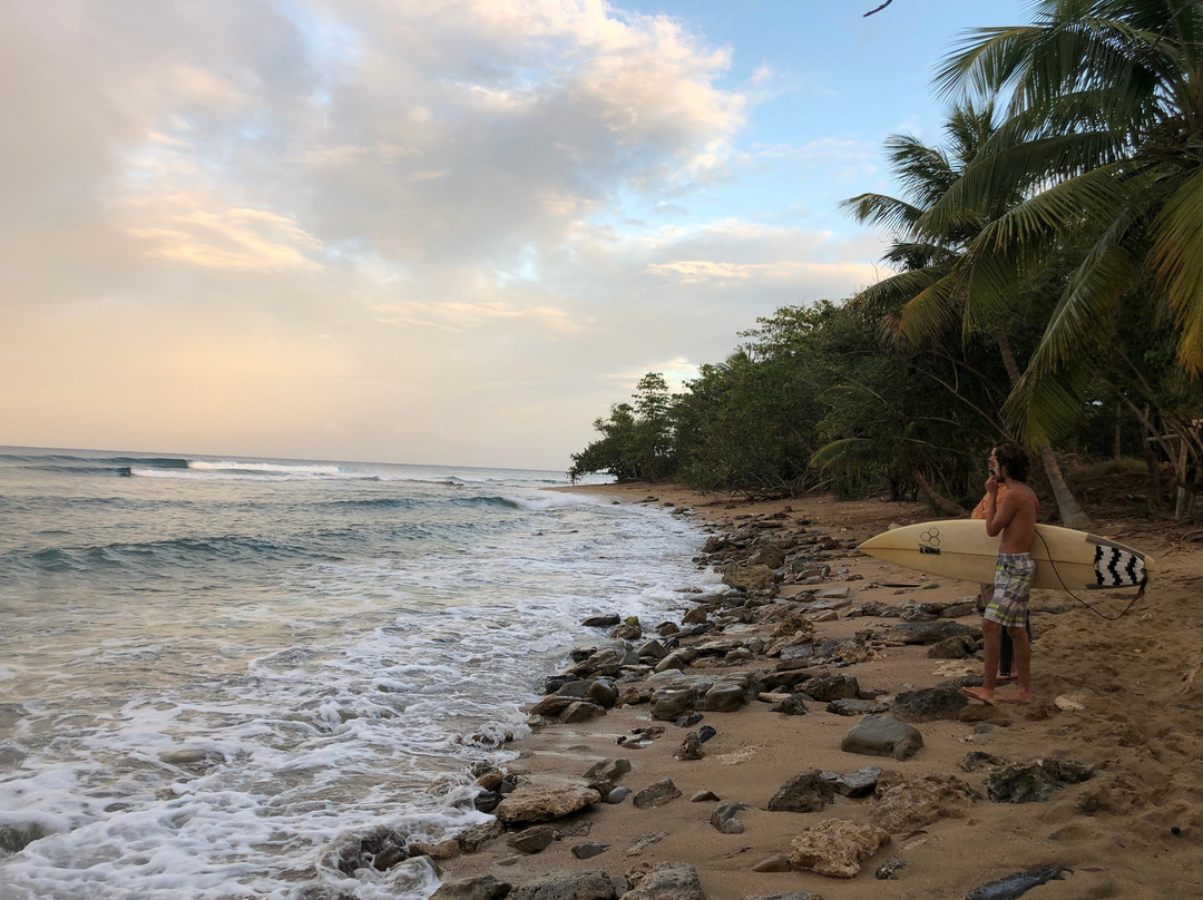 Surfing Lessons Puerto Rico-吕康必去景点