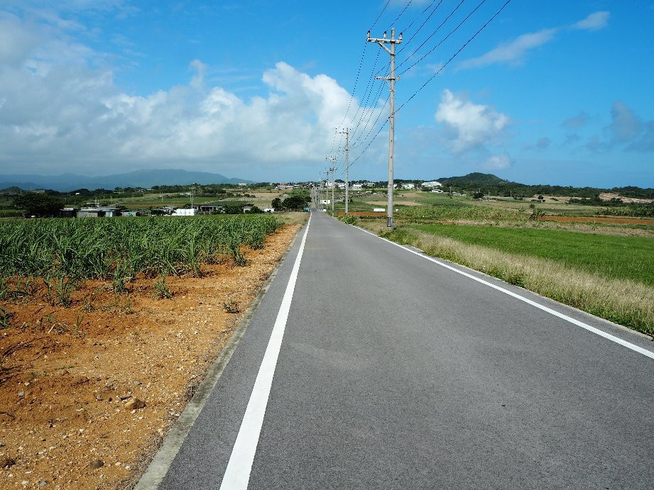 Sugar Road景点图片