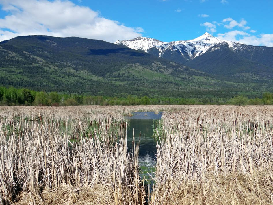 R.W. Starratt Wildlife Sanctuary-维尔蒙特必去景点
