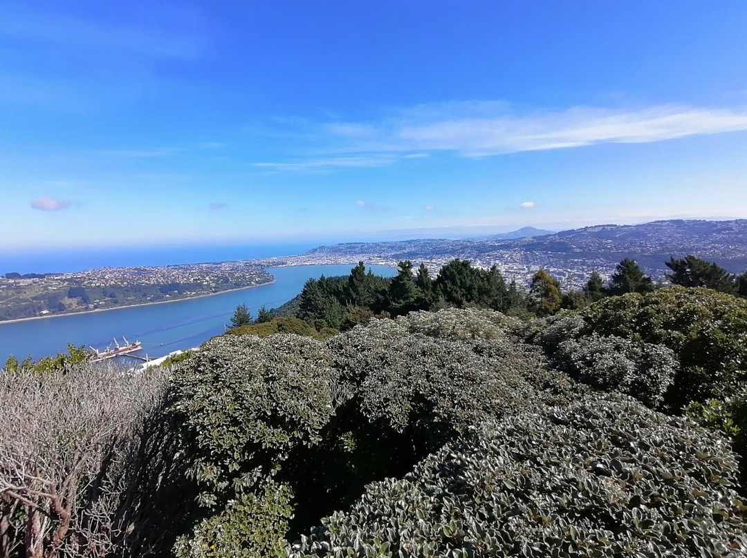 但尼丁信号山-但尼丁必去景点