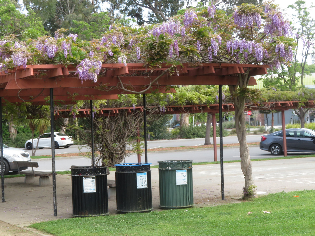 Mitchell Park-帕罗奥多必去景点