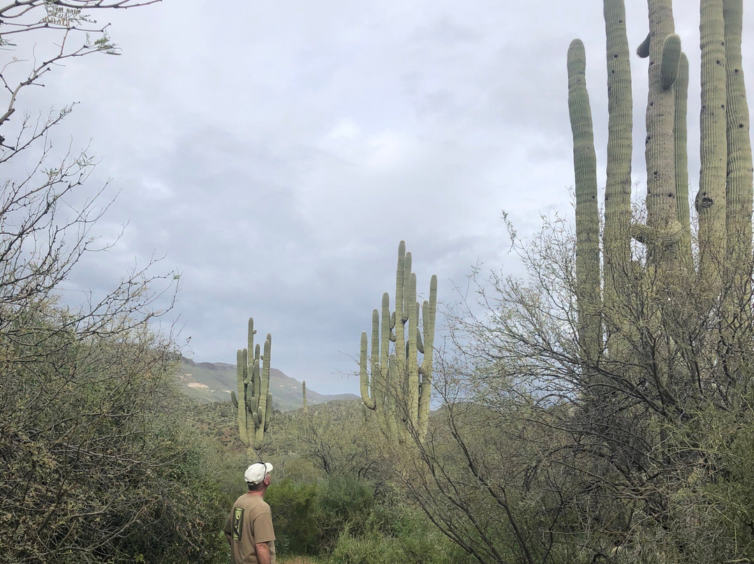 Spur Cross Ranch Conservation Area景点图片