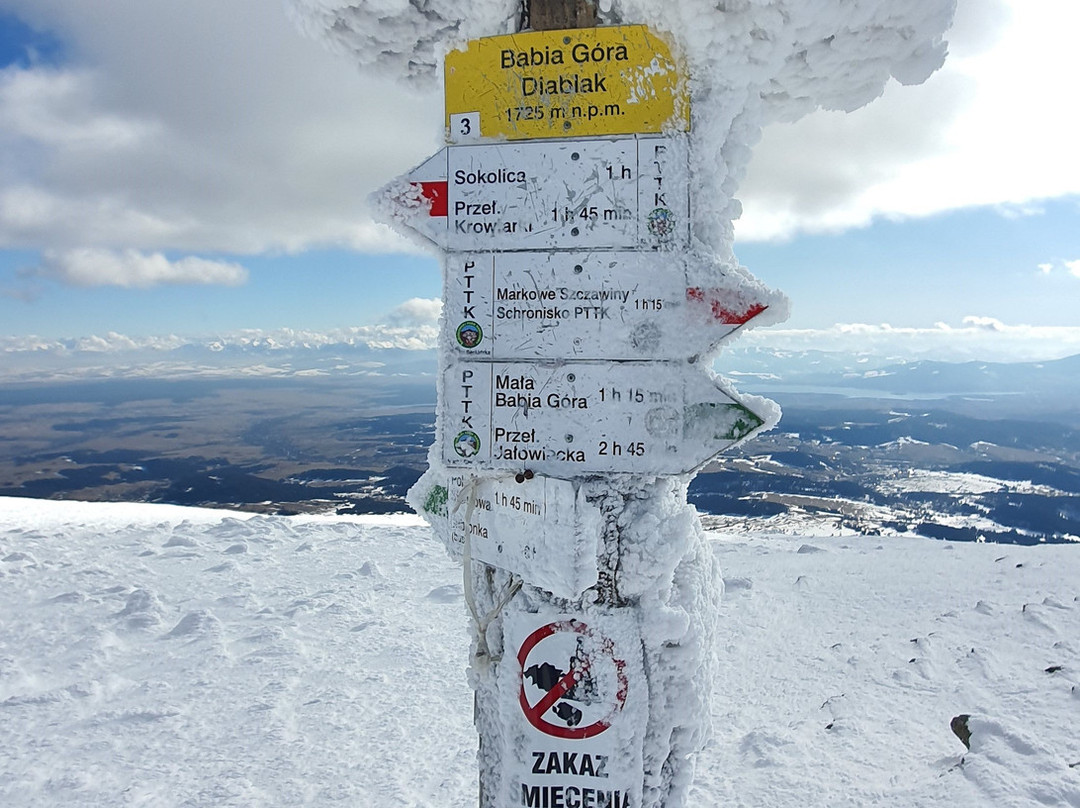 Babiogórski National Park-Zawoja必去景点