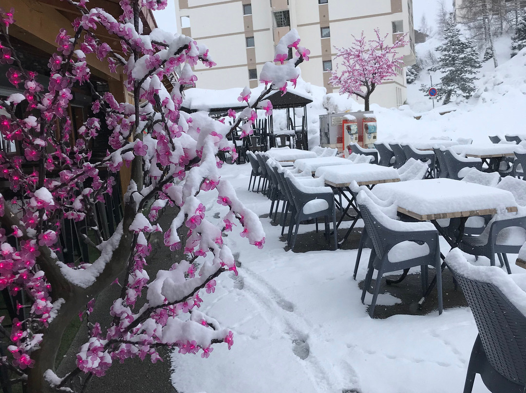 Hotel Le Plein Sud主图