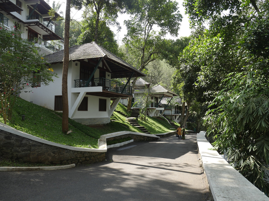 Forest Canopy Thekkady主图