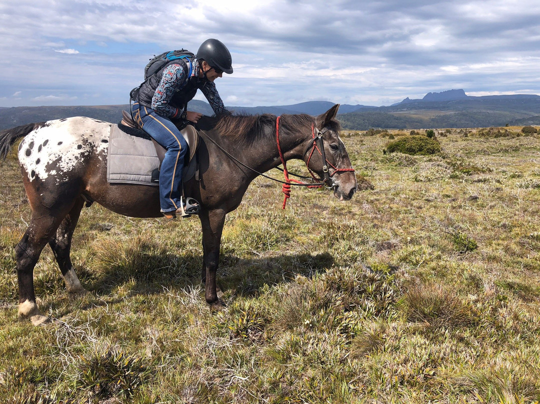 Cradle Country Adventures-摇篮山圣克莱尔湖国家公园必去景点