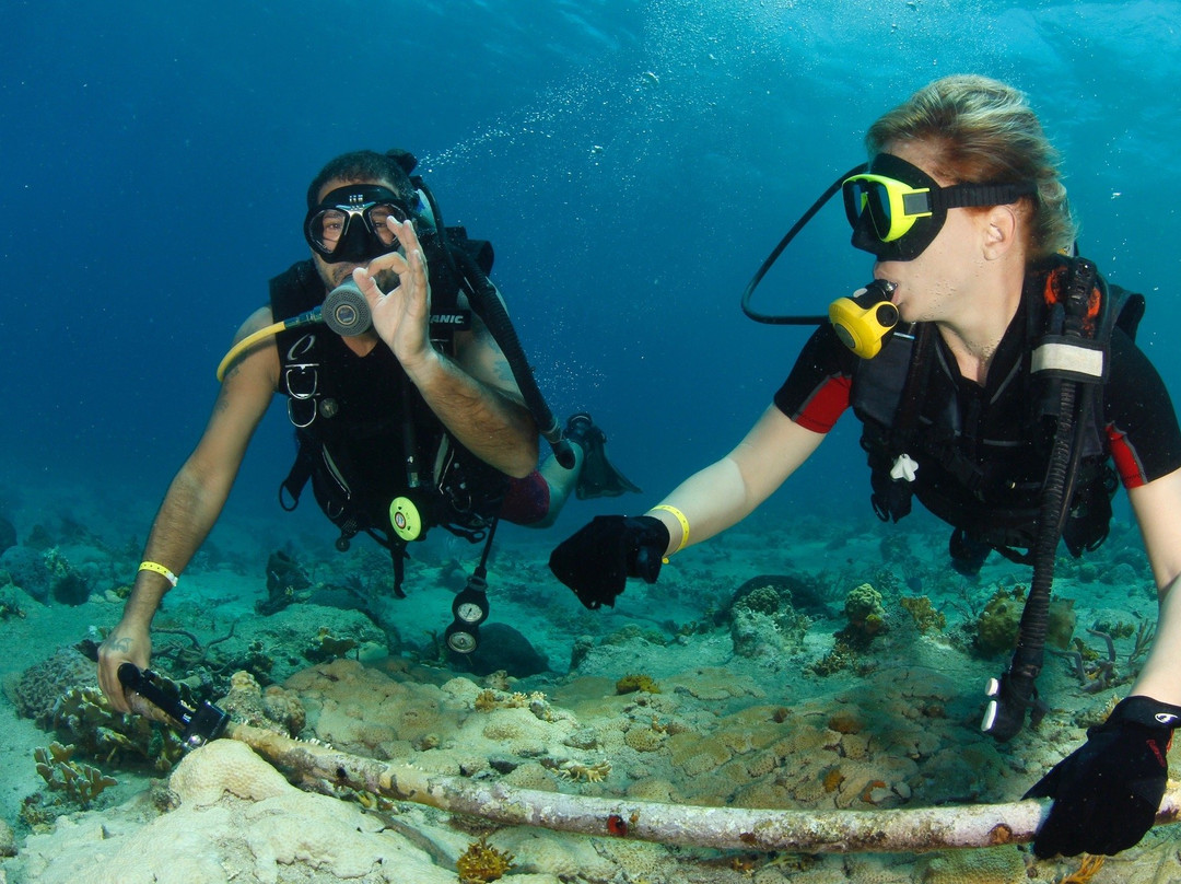 Shark's Friends Diving Center-Playa Santa Lucia必去景点