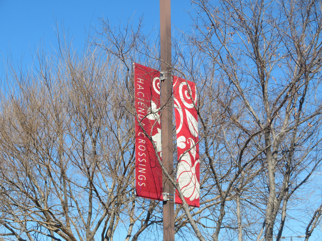 Hacienda Crossing-都柏林必去景点