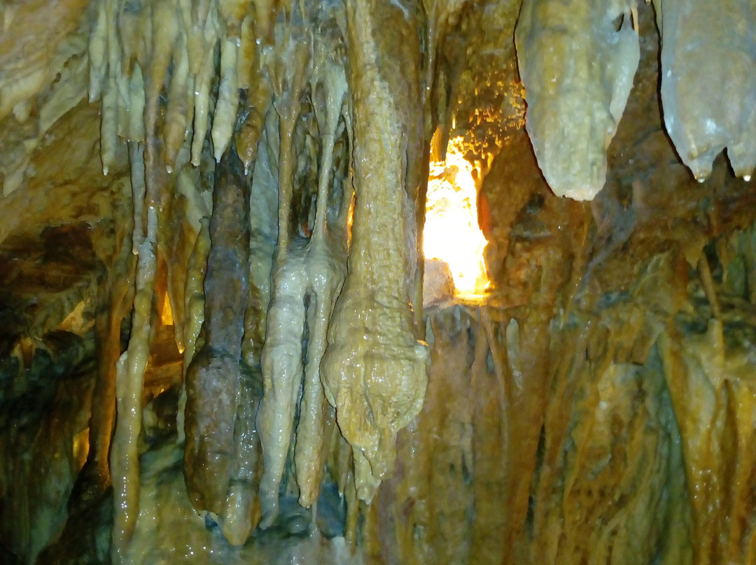 Grutas de Alvados景点图片