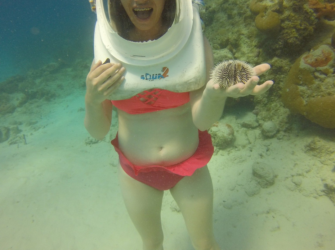 Aquanautas-圣安德烈斯必去景点