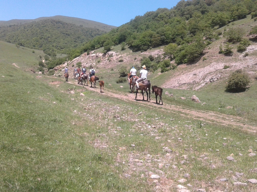Lori Canyon Equestrian-Alaverdi必去景点