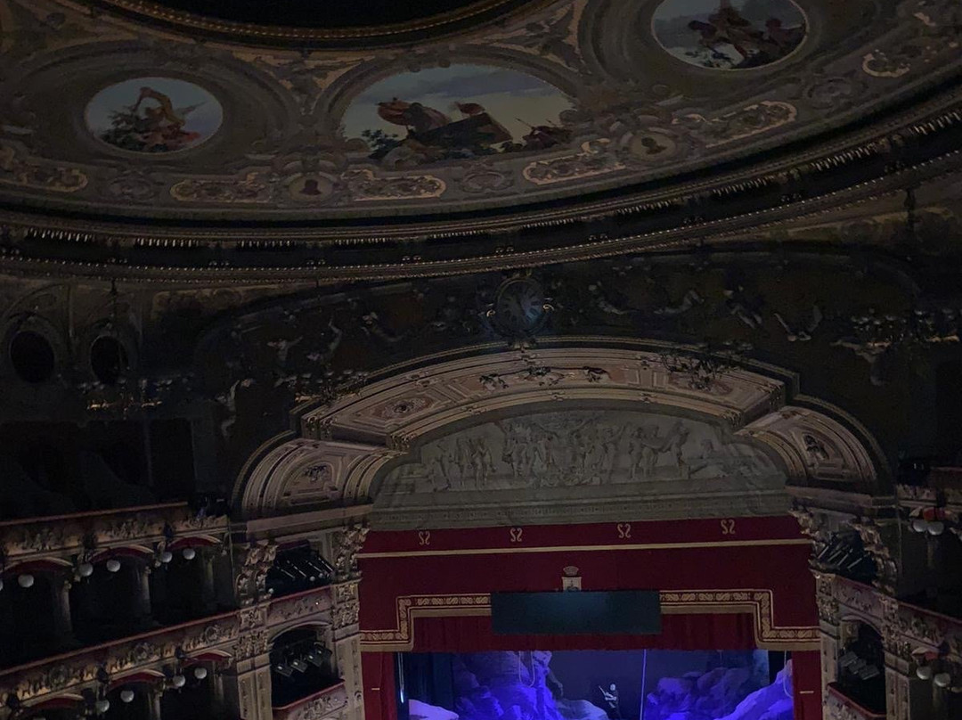 Teatro Massimo Bellini景点图片