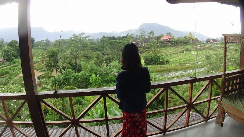 英达田园别墅主图