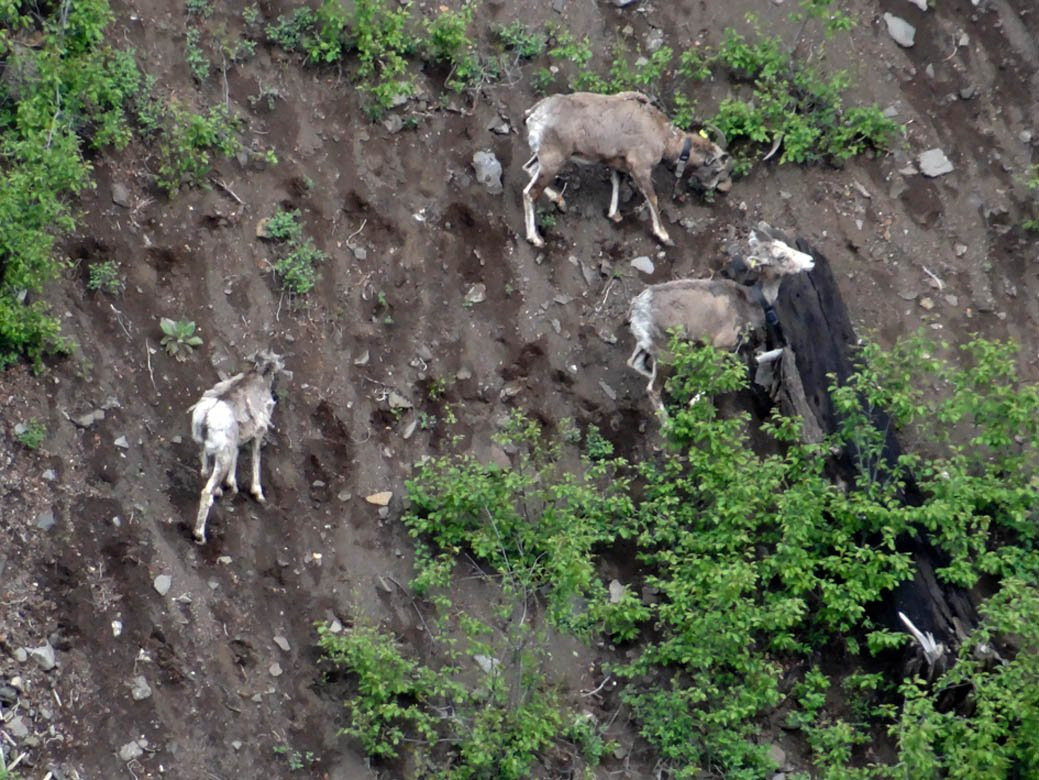 Chasm Provincial Park-柯林顿必去景点