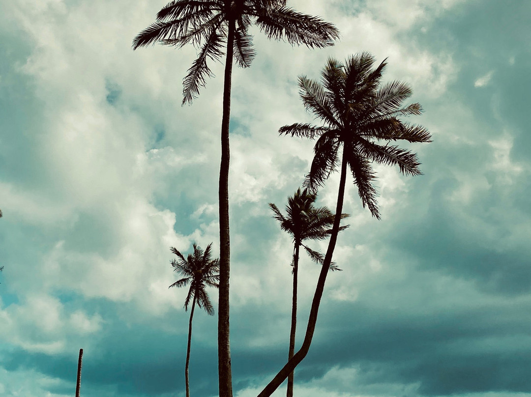 Lupita Adventures Siargao-General Luna必去景点