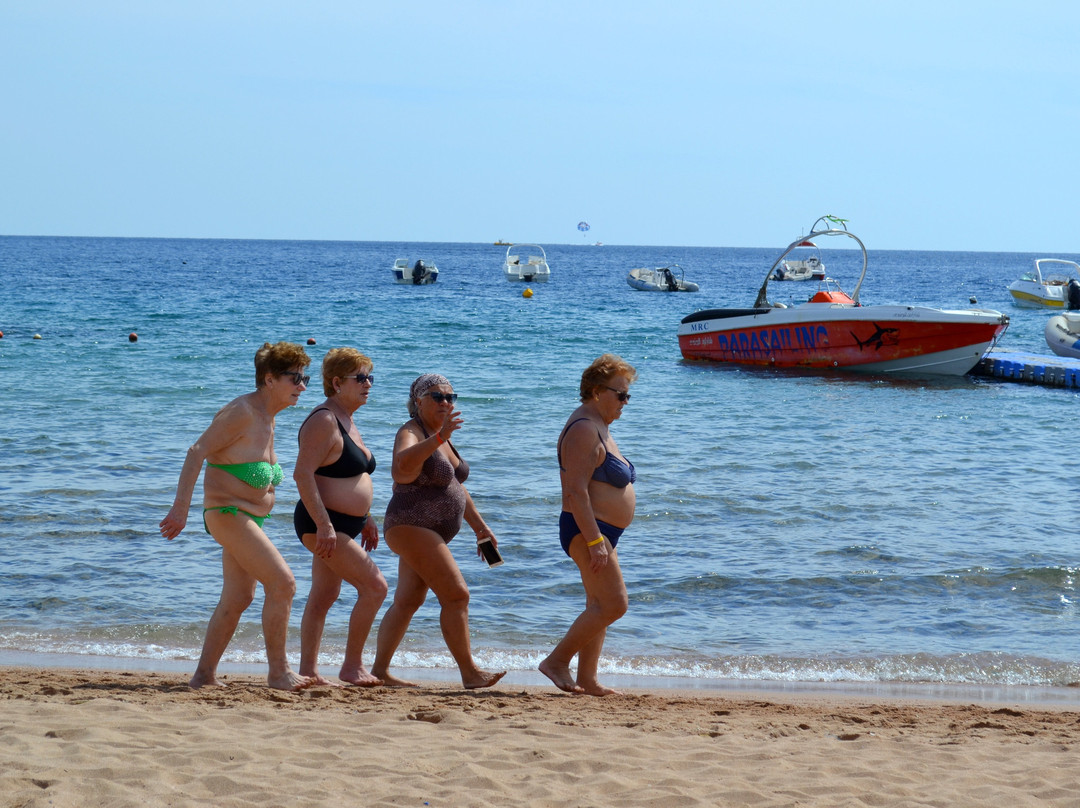 Panorama Naama Heights主图