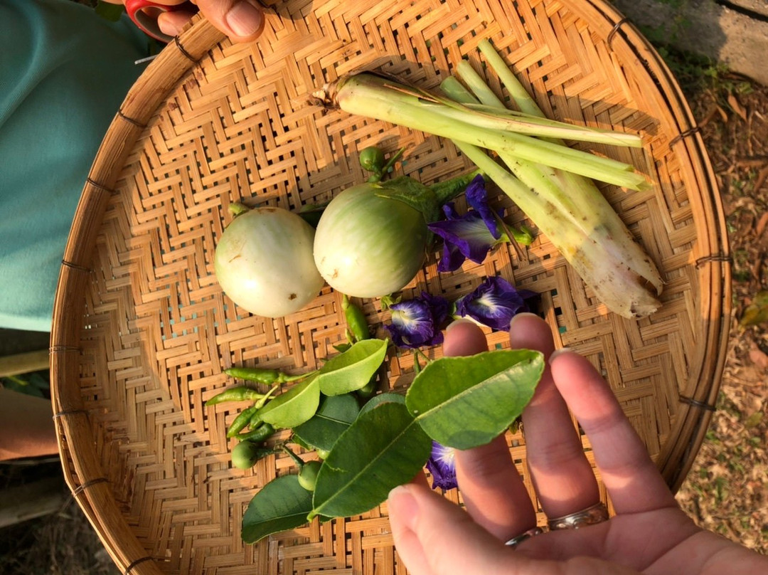 Baan SanSai Cookery School-讪柿必去景点