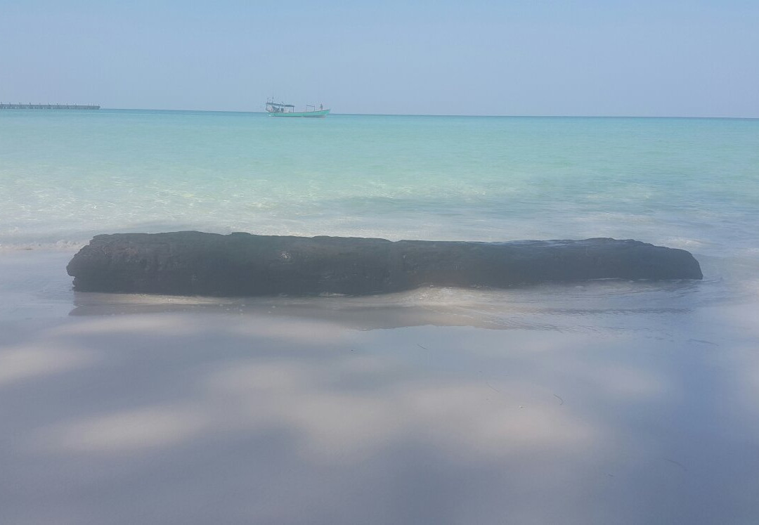 Long Beach-高龙必去景点