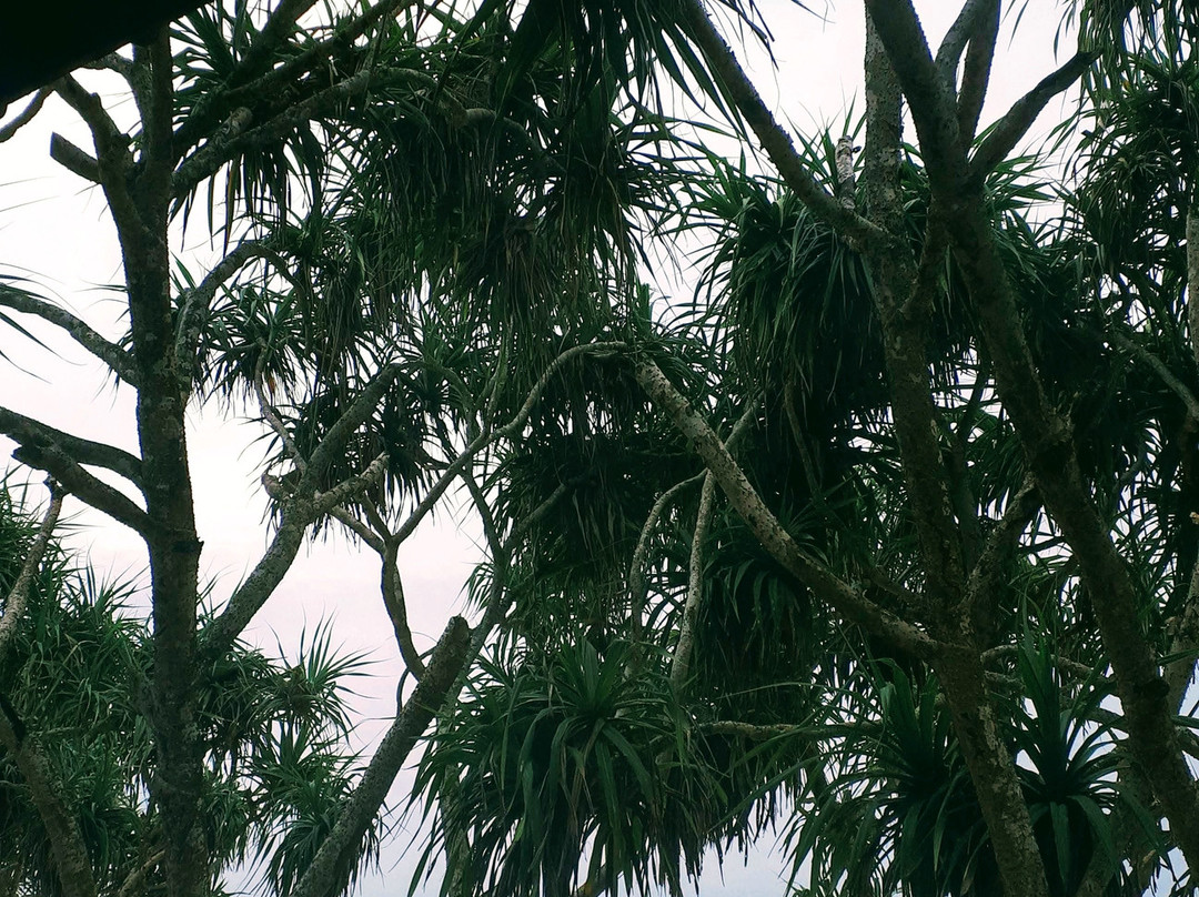 The Beach Cabanas Retreat & Spa主图