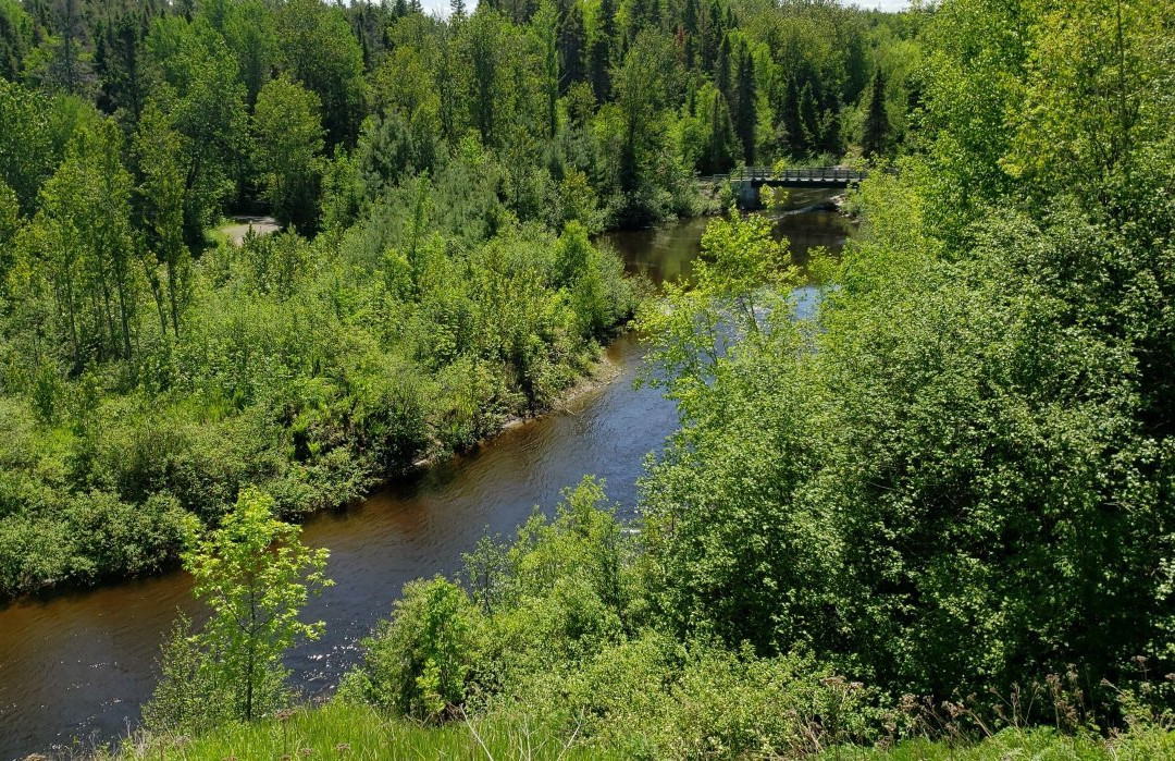 Parc de la Rivière du Moulin景点图片