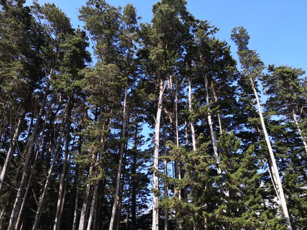 Bosque de la Hoja景点图片